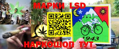 гашик Сланцы