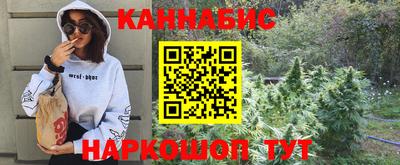 гашик Сланцы