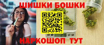 гашик Сланцы
