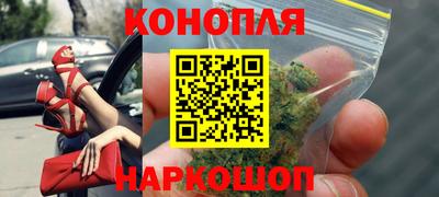 эйфоретик Славгород