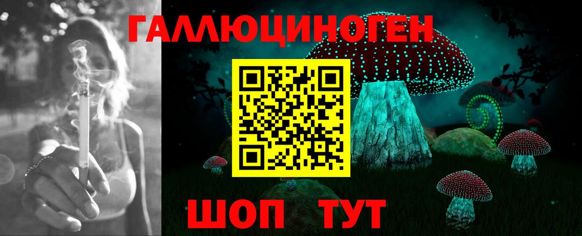 Псилоцибиновые грибы GOLDEN TEACHER  Вход с VPN  Новоалександровск 